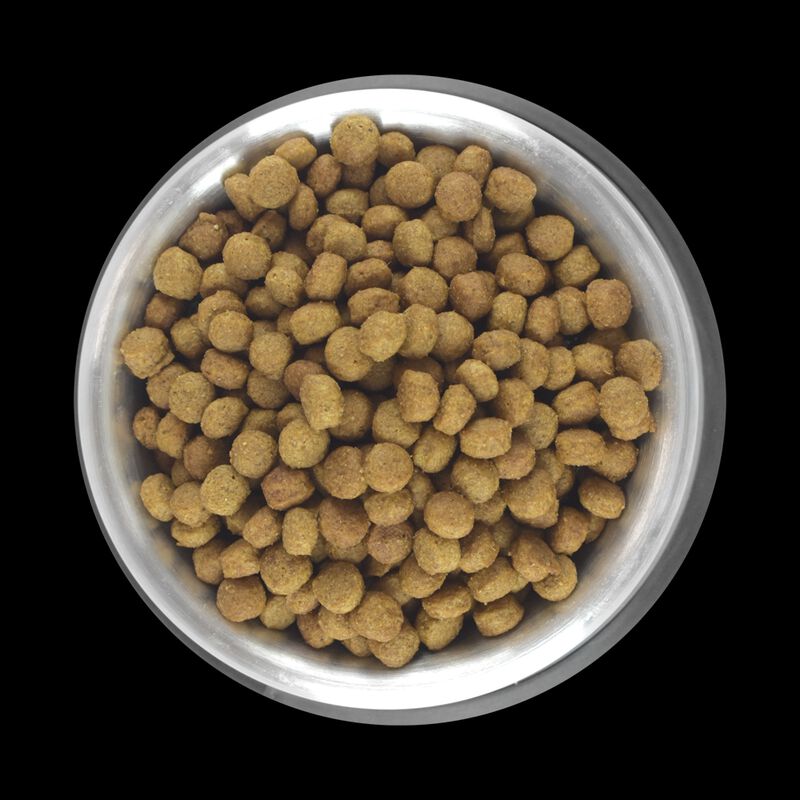 Perfect Sense Alimento Para Perro Adulto De Raz... image number null