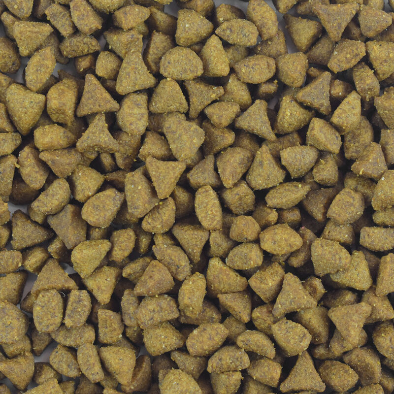 Perfect Sense Alimento para Gato Adulto de 3 Kg image number null