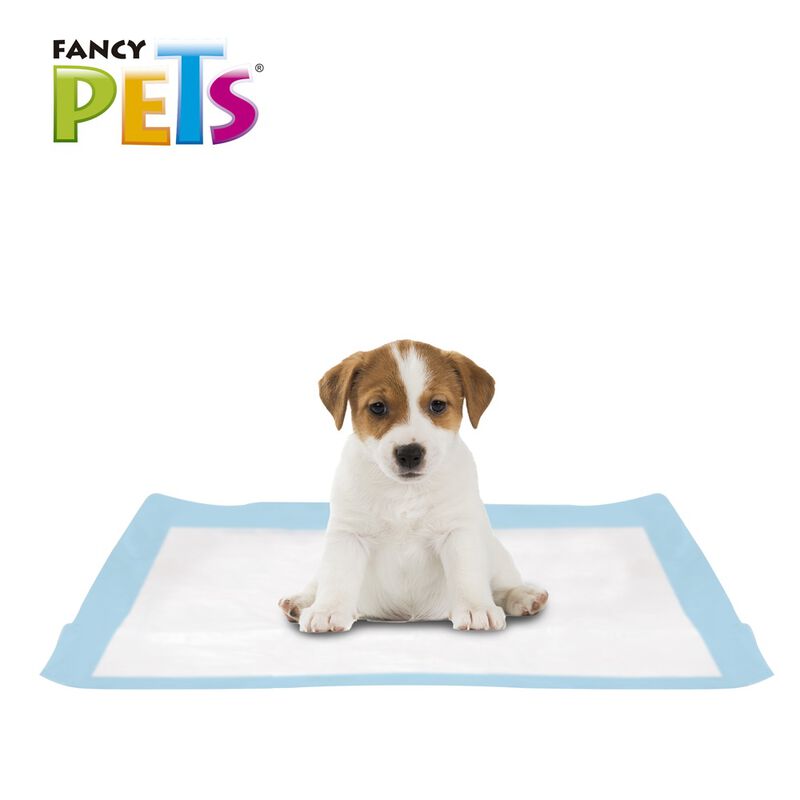 Fancy Pets Tapete Pa&ntilde;al Entrenador para Perro 7... image number null