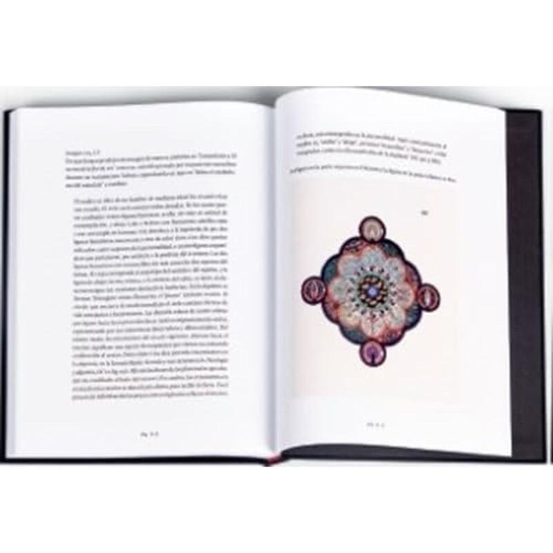 Los libros negros 7 vol&uacute;menes Carl Jung image number null