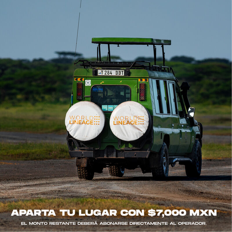 Ruta World Lineage Safari image number null