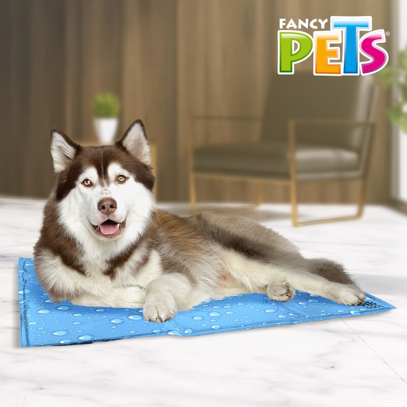 FANCY PETS. Tapete Refrescante para Perro Extra... image number null