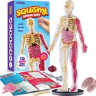 Kit Cient&iacute;fico Dan&darci Modelo Corporal Blando De Anatom&iacute;a Humana